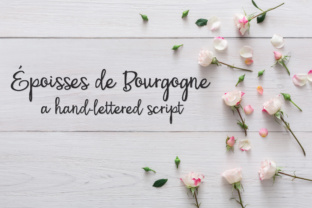 PN Époisses De Bourgogne: A Script Font for Web Design
